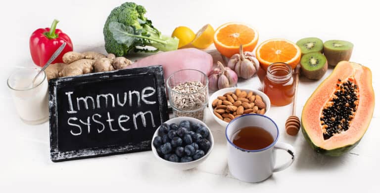 diet and immune system