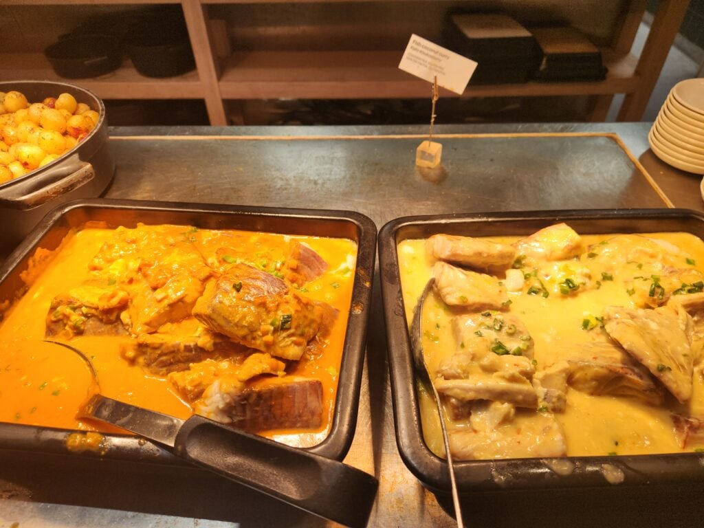 Finnair Business Lounge (non-schengen) Helsinki Food and Nutrition Review (updated 2024) - finnair business lounge Fish coconut curry Finnair business lounge