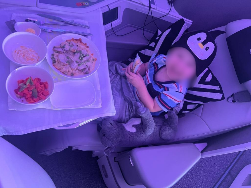 What's in kids plane meals? - kids plane meals What's in kids plane meals? - kids plane meals