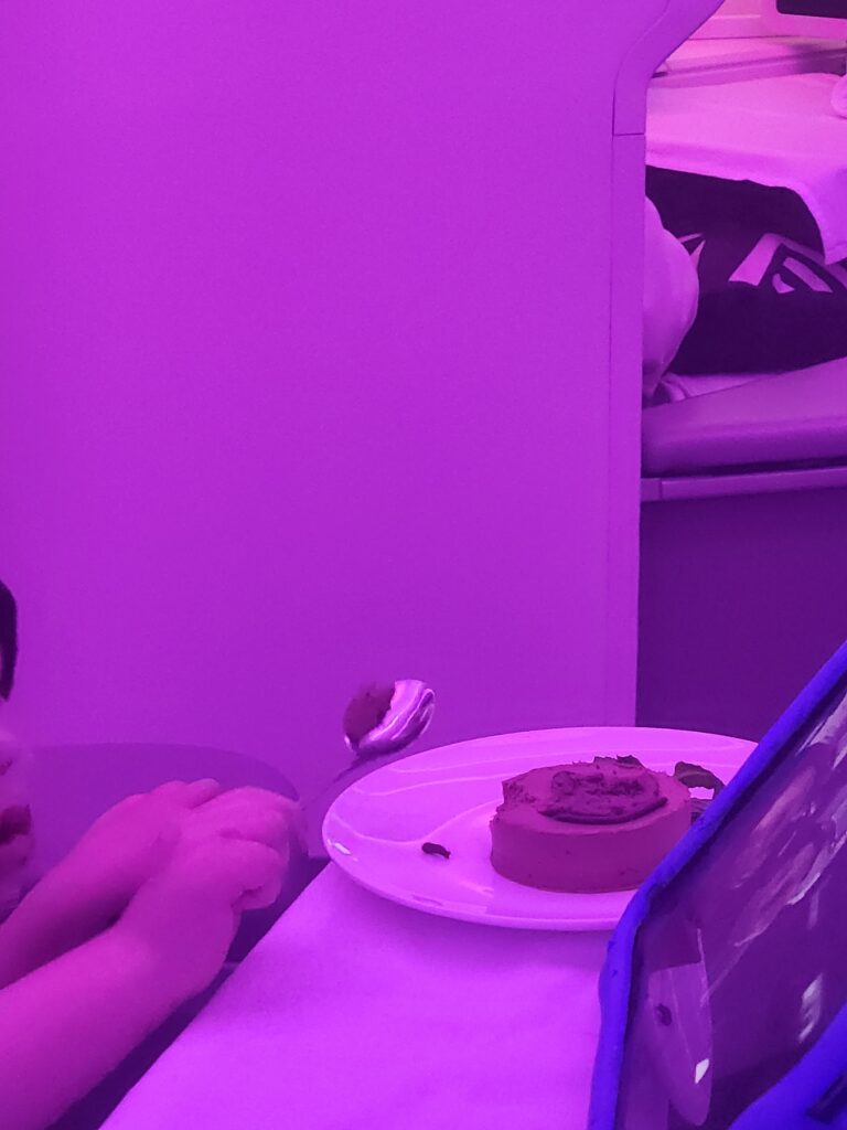 Special Meal Child Meal Fiji Airways Business Class Food Review - Melbourne to Nadi, Fiji - Child meal Fiji Airways business class Chocolate mousse child meal Fiji Airways business class food dessert